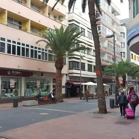 Flamenco Las Palmas / Gran Canaria